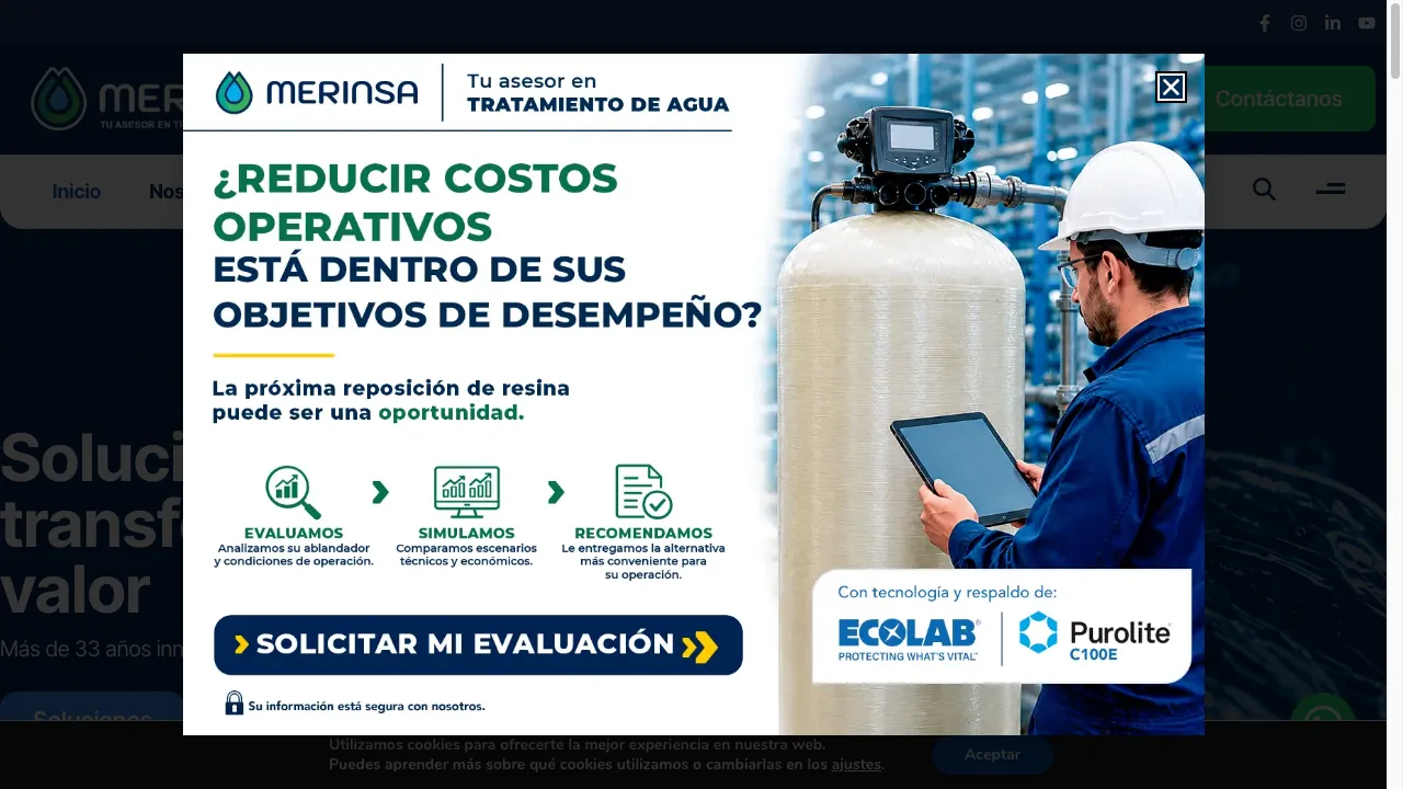 Captura de pantalla real del sitio web Merinsa